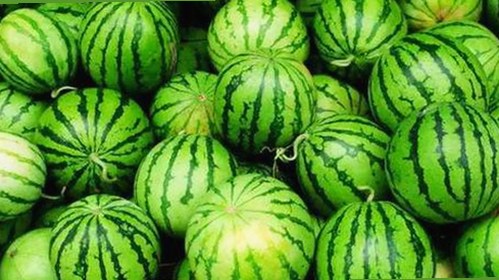 探索小🐔🐔伸进🈲🔞🔞A免费版下载的最新动态