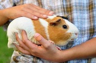 探秘男的🈚放丄到女的免费版下载：引领新潮流的app体验