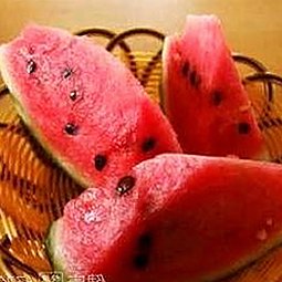 最新A片官方版现状揭秘：满足多样需求的丰富资源