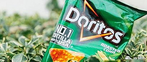 9·1免费版官方版：惠州市用户最新体验指南