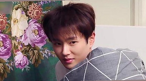 最新免费看版资源推荐：满足你的看片免费版需求