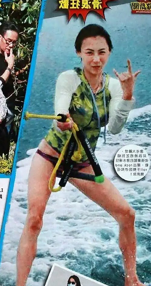 如何轻松获取免费91官方版下载，探索多样化的资源选择