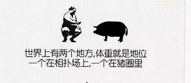 揭秘www.色😍萝网站17c：让你一探究竟的娱乐资源新选择