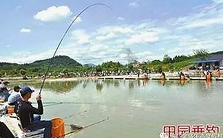 探索免费观看在线高清动漫的软件下载，满足不同需求