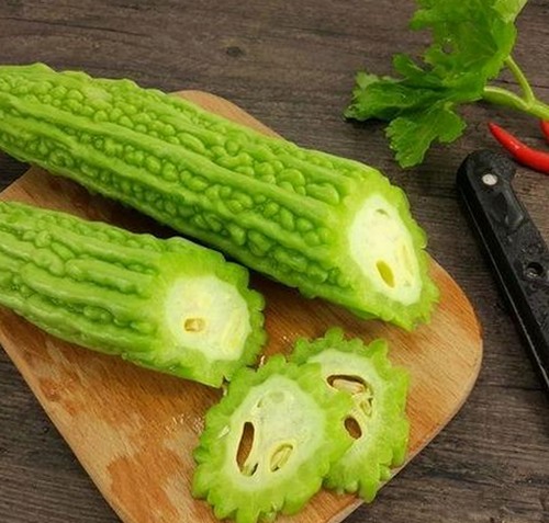 深入了解91n免费版：用户体验与资源获取新趋势