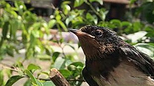 爱液官方winall：张掖市最新热门资源全解析