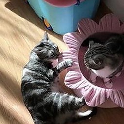 爱液官方winall：张掖市最新热门资源全解析