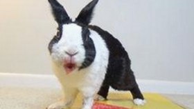 最新突破：91❌❌❌无套直看片红桃在线观看今官方免费版带来新体验