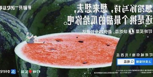 最新91漫画官方版下载免费版：探索高清资源与多样内容