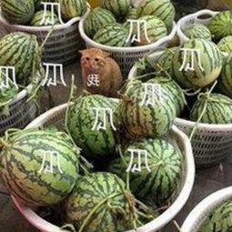 最新动态：www.91免费版带来多项资源更新与行业趋势