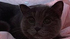 最新动态：www.91免费版带来多项资源更新与行业趋势