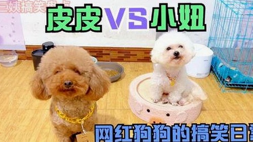 详细解析：ww我的快乐在哪里免费版的最新资讯与资源推荐