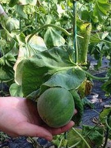 宜昌市关注：91 一起草wwwcom17免费版的最新动态与官方回应