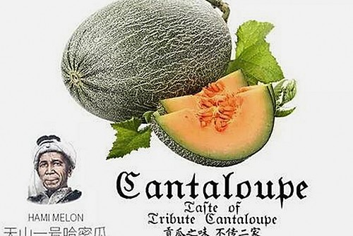 成人网官方版：探索最新版本与行业现状