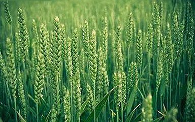 17c在线观看官方版：探索最新影视资源的反差体验