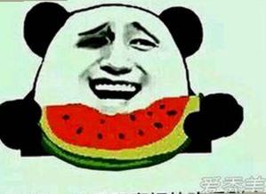 禁漫天堂下载终极手册：全面指南助你轻松掌握资源