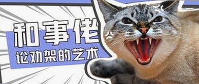 蜜芽直播现状分析：引领年轻用户互动新趋势