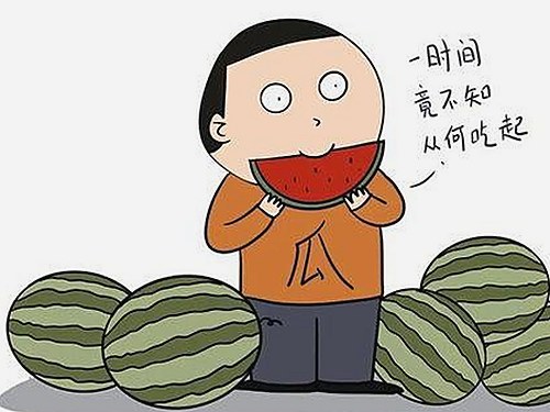 大象回家永不迷路视频2023最新版：真实感动的象群归途