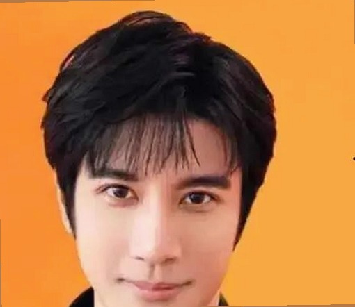 全面解析：9.1在线观看免费网站nba不用下载的直免费版的优势与应用