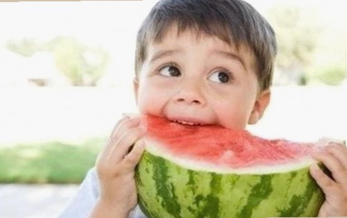 红桃影院免费观看电视剧电视剧高清免费版最新动态与资源解析