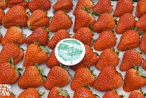 全面解析🔞🍌进去里❌❌❌17c视频官方版正版下载的最新动态