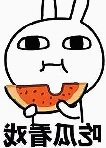 香蕉视频：探索海口市年轻人追剧新宠的背后故事