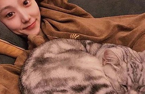 蜜芽直播：探索最新娱乐动态与视频资源的官方平台