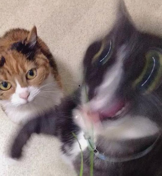 探秘91视频官网官方版下载：福州用户的新选择