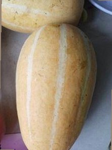 了解禁漫天堂下载最新版下载：最新资源与平台介绍