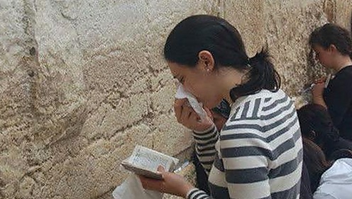 轻松掌握91香蕉免费版下载，畅享精彩内容新体验