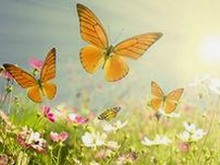 香蕉视频：探索当前热门影视资源的多样性