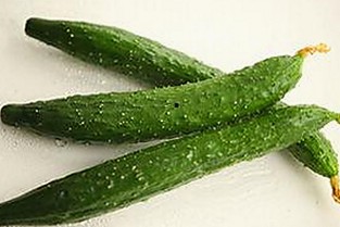 爱妻官方百度视官方版下载：探索内容丰富的网络资源与最新版本