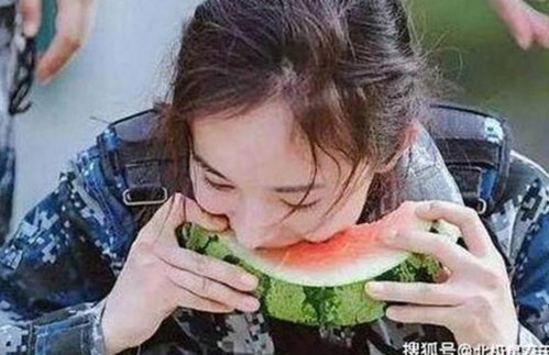 深入了解香蕉视频：最新资源与热门内容解析