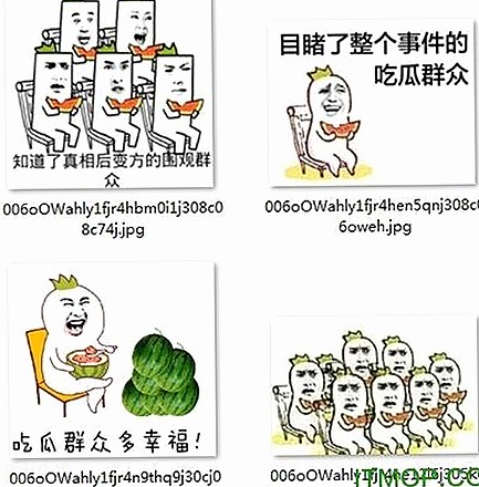 轻松获取菠萝TV免费版下载，畅享多样视频资源