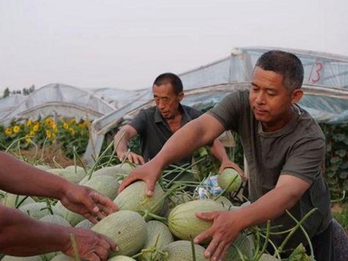 高清🈚码🔞❌♋免91官方版：探索最新的视频资源与相关应用