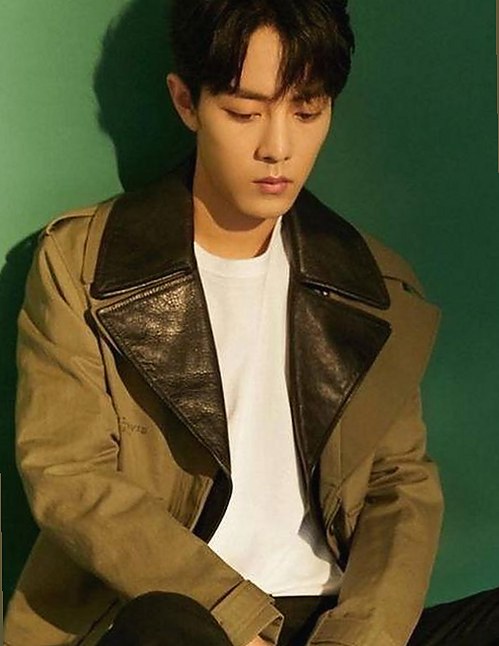 日批视频免费版：了解其现状与发展趋势