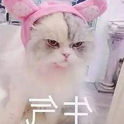 最新发现：小🐔🐔伸进🈲🔞🔞A免费版下载引领热门资源新潮