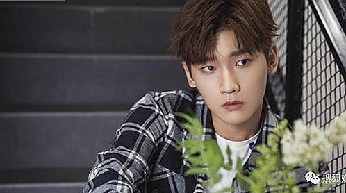 完整解析：18+触摸互动游戏+黄油苹果免费官方版的最新动态