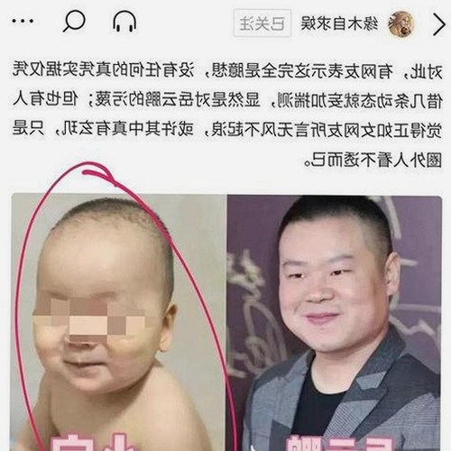 91n最新版下载：畅享成品游戏网站与高清动漫资源