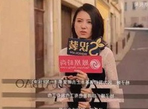 探索91小视频官方版下载免费版：满足你的娱乐需求