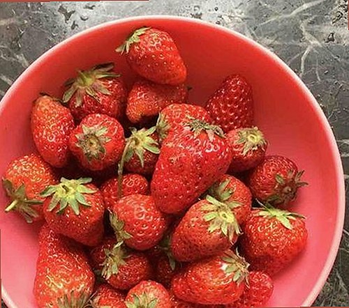 掌握最新资源：91下载官方版免费版带你畅享娱乐新体验