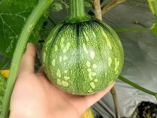 揭秘刘宇宁与天美传奇传媒免费看电视剧官方版的最新动态