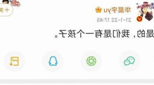 西瓜视频免费官方版正版下载：最新版本介绍与资源推荐