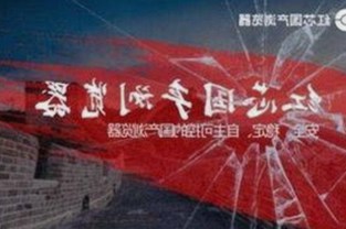 www91官方版免费版：轻松体验最新免费视频内容