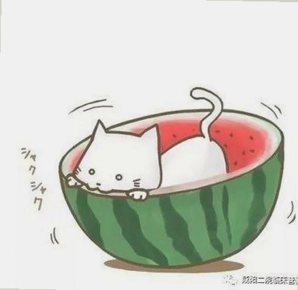 最新消息：香蕉视频官方版下载，畅享高清影视体验