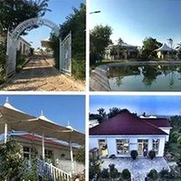 邢台市用户倾心体验：香蕉视频官方版带来的新鲜视角