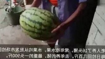 《速度与激情4》最新动态：影片热度持续攀升引发关注