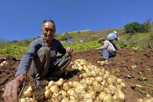 探索蘑菇视频免费版的流行趋势与新动态