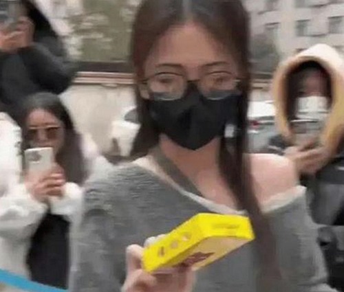 关于麻豆视频在线观看免费版官方版的最新动态与资源介绍