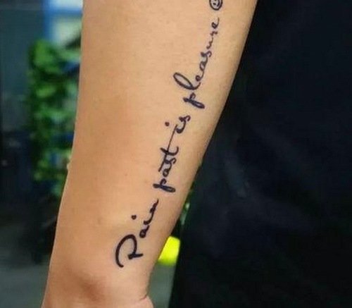 大象回家永不迷路视频2023最新版：最新动态与资源指南